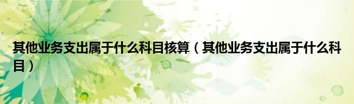其他业务支出属于什么科目核算（其他业务支出属于什么科目）