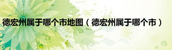 德宏州属于哪个市地图（德宏州属于哪个市）