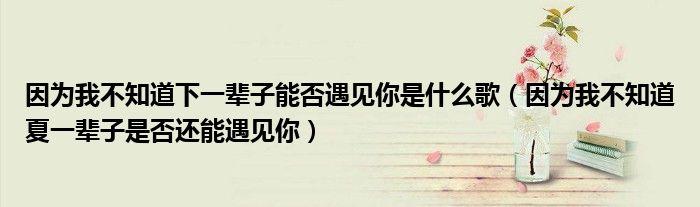 因为我不知道下一辈子能否遇见你是什么歌（因为我不知道夏一辈子是否还能遇见你）