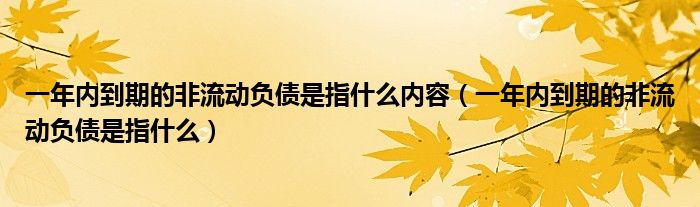 一年内到期的非流动负债是指什么内容（一年内到期的非流动负债是指什么）