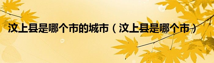 汶上县是哪个市的城市（汶上县是哪个市）