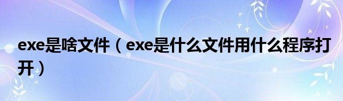 exe是啥文件（exe是什么文件用什么程序打开）