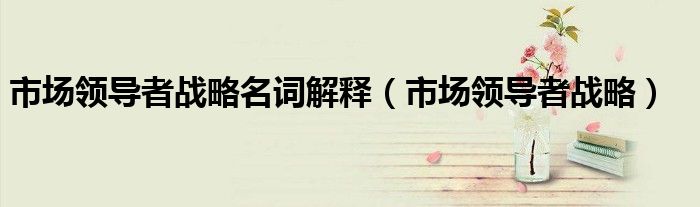 市场领导者战略名词解释（市场领导者战略）
