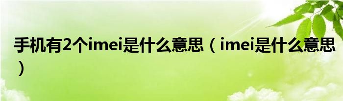 手机有2个imei是什么意思（imei是什么意思）