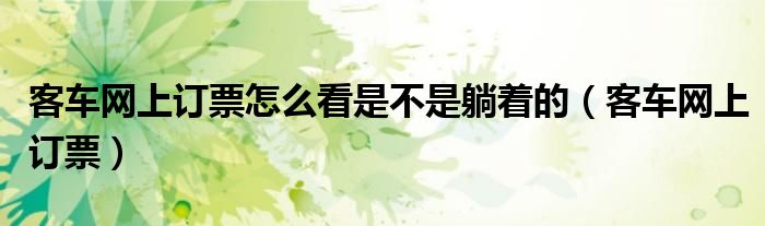 客车网上订票怎么看是不是躺着的（客车网上订票）