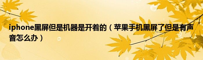 iphone黑屏但是机器是开着的（苹果手机黑屏了但是有声音怎么办）