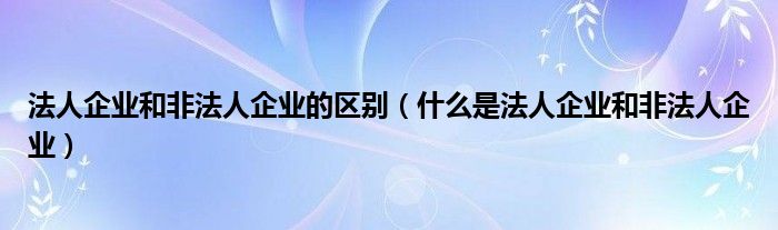 法人企业和非法人企业的区别（什么是法人企业和非法人企业）