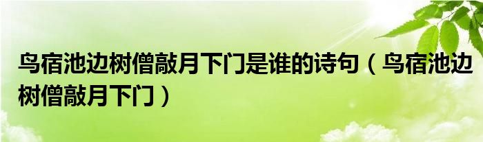 鸟宿池边树僧敲月下门是谁的诗句（鸟宿池边树僧敲月下门）