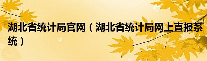 湖北省统计局官网（湖北省统计局网上直报系统）