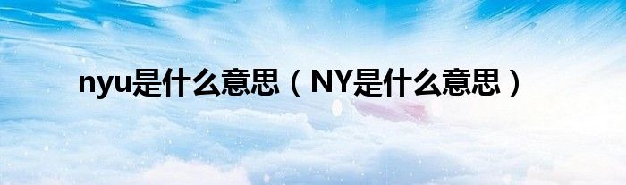 nyu是什么意思（NY是什么意思）