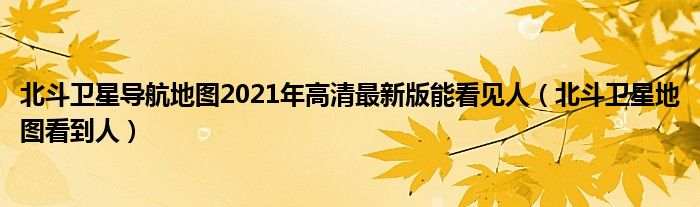 北斗卫星导航地图2021年高清最新版能看见人（北斗卫星地图看到人）