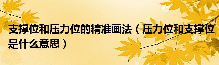 支撑位和压力位的精准画法（压力位和支撑位是什么意思）