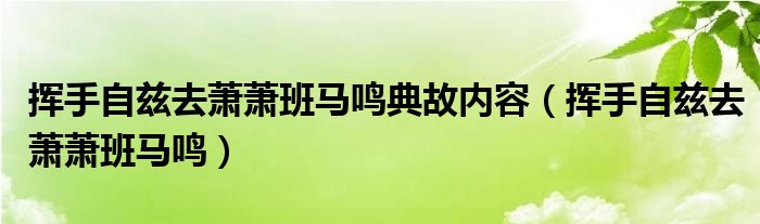 挥手自兹去萧萧班马鸣典故内容（挥手自兹去萧萧班马鸣）