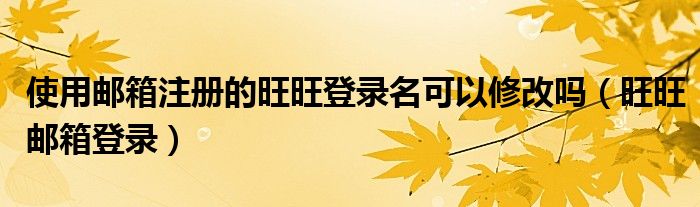 使用邮箱注册的旺旺登录名可以修改吗（旺旺邮箱登录）