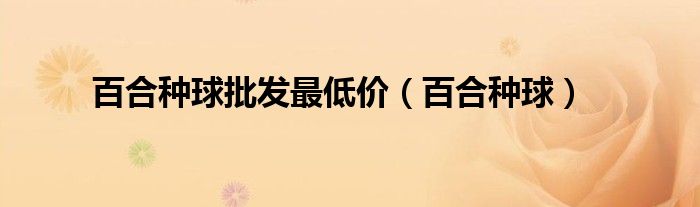 百合种球批发最低价（百合种球）