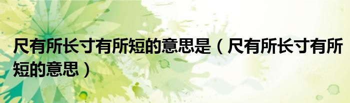 尺有所长寸有所短的意思是（尺有所长寸有所短的意思）