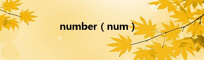 number（num）