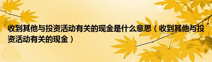 收到其他与投资活动有关的现金是什么意思（收到其他与投资活动有关的现金）