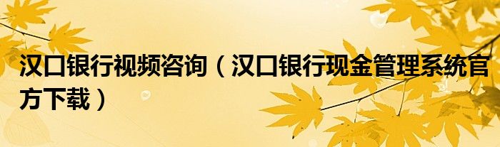 汉口银行视频咨询（汉口银行现金管理系统官方下载）