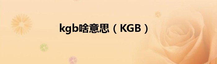 kgb啥意思（KGB）