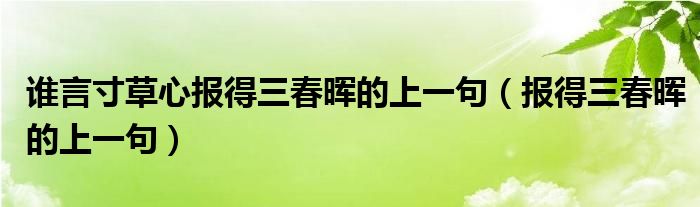 谁言寸草心报得三春晖的上一句（报得三春晖的上一句）
