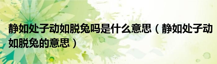 静如处子动如脱兔吗是什么意思（静如处子动如脱兔的意思）