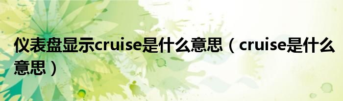 仪表盘显示cruise是什么意思（cruise是什么意思）