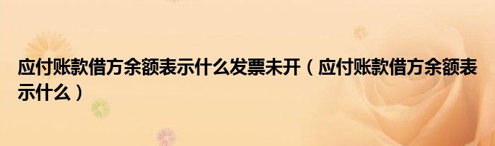 应付账款借方余额表示什么发票未开（应付账款借方余额表示什么）