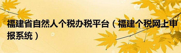 福建省自然人个税办税平台（福建个税网上申报系统）