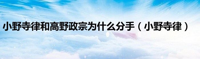 小野寺律和高野政宗为什么分手（小野寺律）
