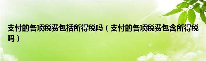 支付的各项税费包括所得税吗（支付的各项税费包含所得税吗）
