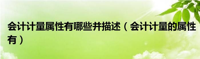会计计量属性有哪些并描述（会计计量的属性有）