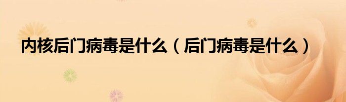 内核后门病毒是什么（后门病毒是什么）