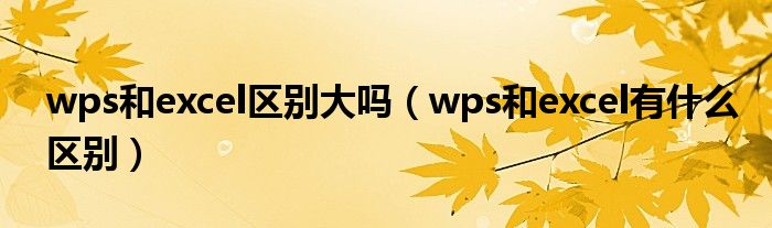 wps和excel区别大吗（wps和excel有什么区别）