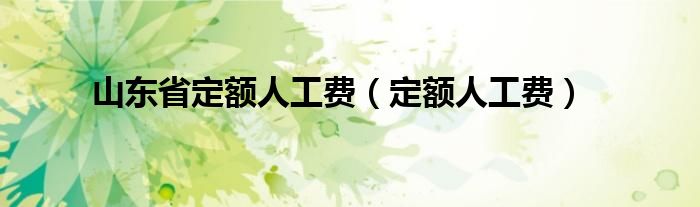 山东省定额人工费（定额人工费）