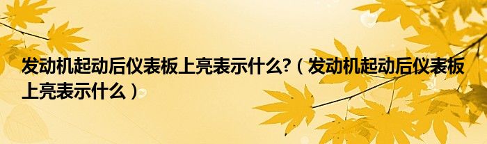 发动机起动后仪表板上亮表示什么?（发动机起动后仪表板上亮表示什么）
