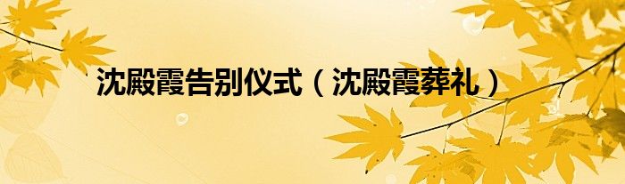 沈殿霞告别仪式（沈殿霞葬礼）