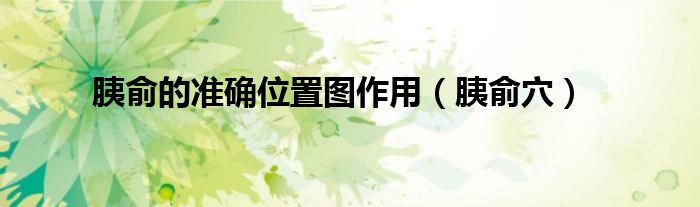 胰俞的准确位置图作用（胰俞穴）