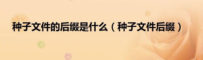 种子文件的后缀是什么（种子文件后缀）