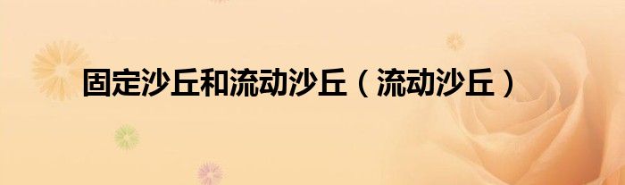 固定沙丘和流动沙丘（流动沙丘）