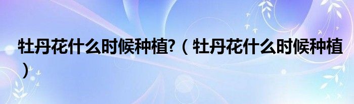 牡丹花什么时候种植?（牡丹花什么时候种植）