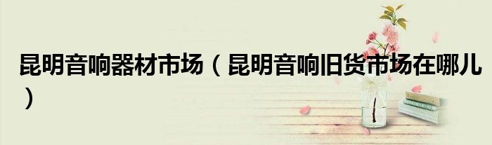 昆明音响器材市场（昆明音响旧货市场在哪儿）