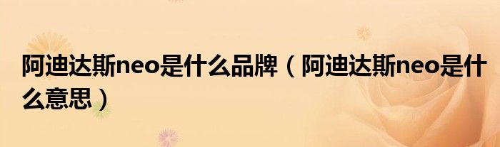 阿迪达斯neo是什么品牌（阿迪达斯neo是什么意思）