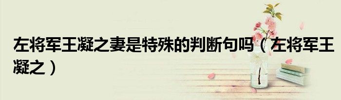 左将军王凝之妻是特殊的判断句吗（左将军王凝之）