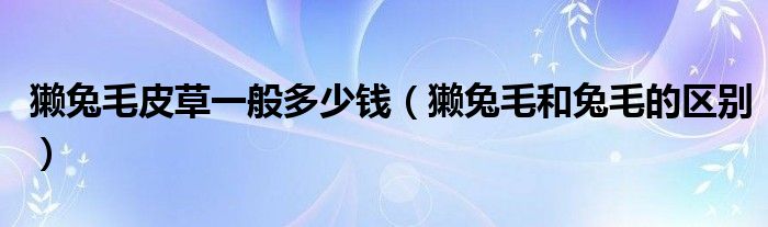獭兔毛皮草一般多少钱（獭兔毛和兔毛的区别）