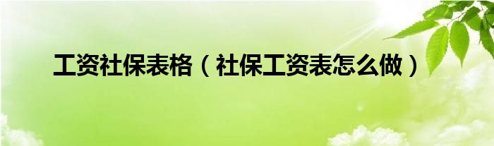 工资社保表格（社保工资表怎么做）