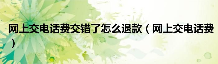 网上交电话费交错了怎么退款（网上交电话费）