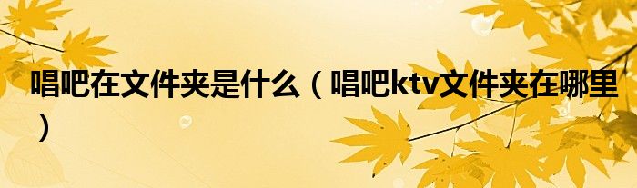 唱吧在文件夹是什么（唱吧ktv文件夹在哪里）