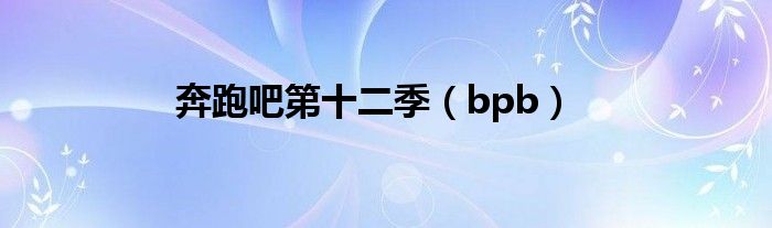 奔跑吧第十二季（bpb）