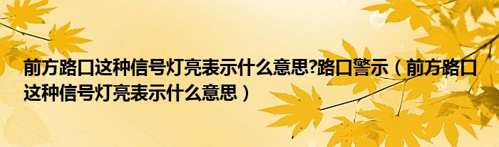 前方路口这种信号灯亮表示什么意思?路口警示（前方路口这种信号灯亮表示什么意思）